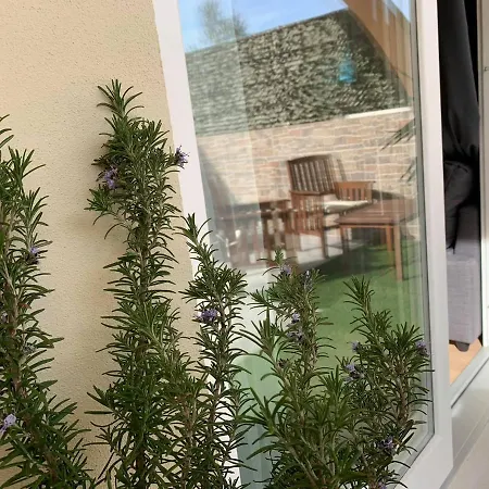Apartment Alloro Flat Olbia